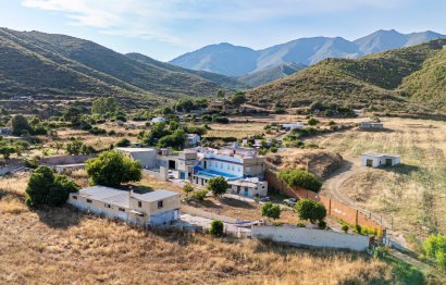 Apartment - Duplex - Resale - Marbella -
                Marbella Centro