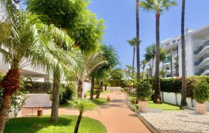 Apartment - Ground Floor Apartment - Resale - Estepona - Costalita