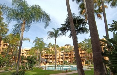 Apartment - Ground Floor Apartment - Resale - Estepona - Estepona Centro