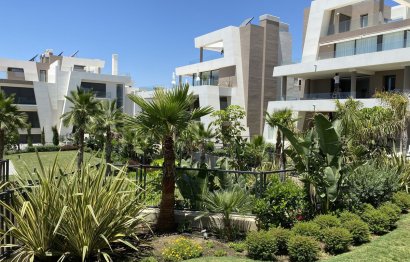 Apartment - Ground Floor Apartment - Resale - Marbella - Cabopino