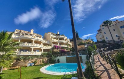 Apartment - Ground Floor Apartment - Resale - Marbella - Elviria