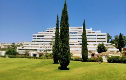 Apartment - Ground Floor Apartment - Resale - Marbella - Guadalmina Alta