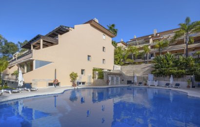 Apartment - Ground Floor Apartment - Resale - Marbella -
                Nueva Andalucia