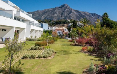 Apartment - Ground Floor Apartment - Resale - Marbella - Nueva Andalucia