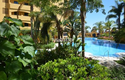 Apartment - Ground Floor Apartment - Resale - Marbella - San Pedro De Alcantara