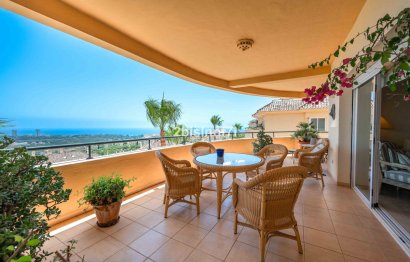 Apartment - Middle Floor Apartment - Resale - Marbella - Elviria