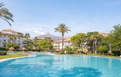 Apartment - Middle Floor Apartment - Resale - Marbella - Nueva Andalucia