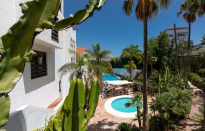 Apartment - Middle Floor Apartment - Resale - Marbella - Nueva Andalucia