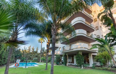 Apartment - Middle Floor Apartment - Resale - Marbella - Nueva Andalucia