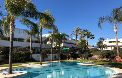 Apartment - Middle Floor Apartment - Resale - Marbella - Nueva Andalucia