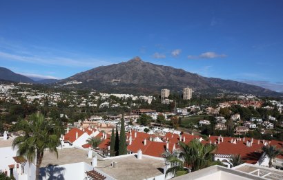 Apartment - Middle Floor Apartment - Resale - Marbella - Nueva Andalucia