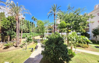 Apartment - Middle Floor Apartment - Resale - Marbella - Nueva Andalucia