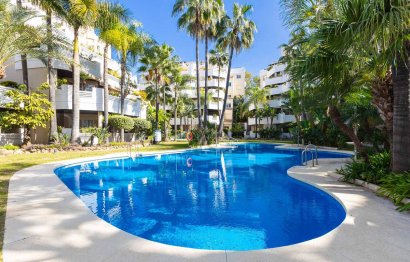 Apartment - Middle Floor Apartment - Resale - Marbella - Nueva Andalucia