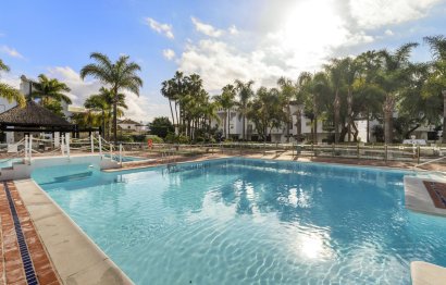 Apartment - Middle Floor Apartment - Resale - Marbella - The Golden Mile