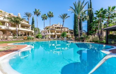 Apartment - Penthouse Duplex - Resale - Marbella - Nueva Andalucia