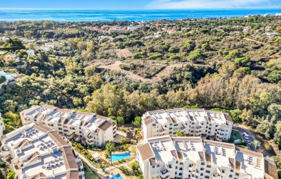 Apartment - Penthouse - Resale - Marbella - Elviria