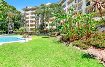 Apartment - Penthouse - Resale - Marbella - Guadalmina Alta