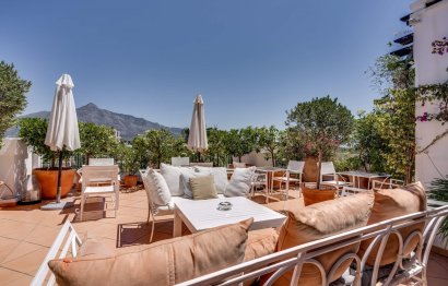 Apartment - Penthouse - Resale - Marbella - Nueva Andalucia