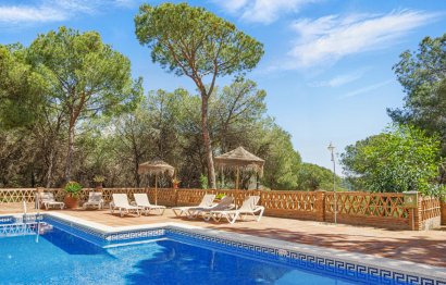 Apartment - Penthouse - Resale - Marbella - Nueva Andalucia