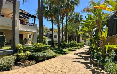 Apartment - Penthouse - Resale -
            Marbella - RSF-65211