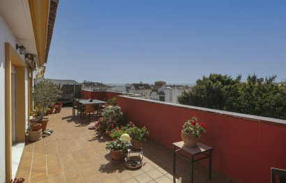 Apartment - Penthouse - Resale - Marbella - San Pedro De Alcantara