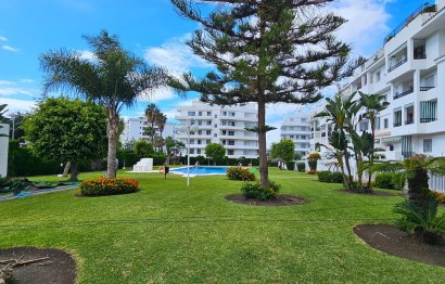 Apartment - Penthouse - Reventa - Marbella -
                La Campana