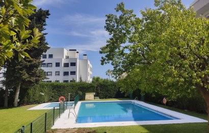 Apartment - Resale - Marbella -
                Marbella