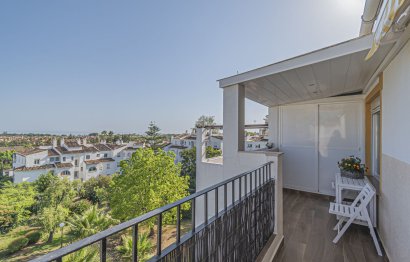 Apartment - Top Floor Apartment - Resale - Estepona -
                Diana Park