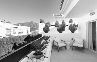 Apartment - Top Floor Apartment - Resale - Marbella - Nueva Andalucia