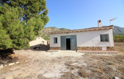 Country House - Reventa - Ricote - Ricote