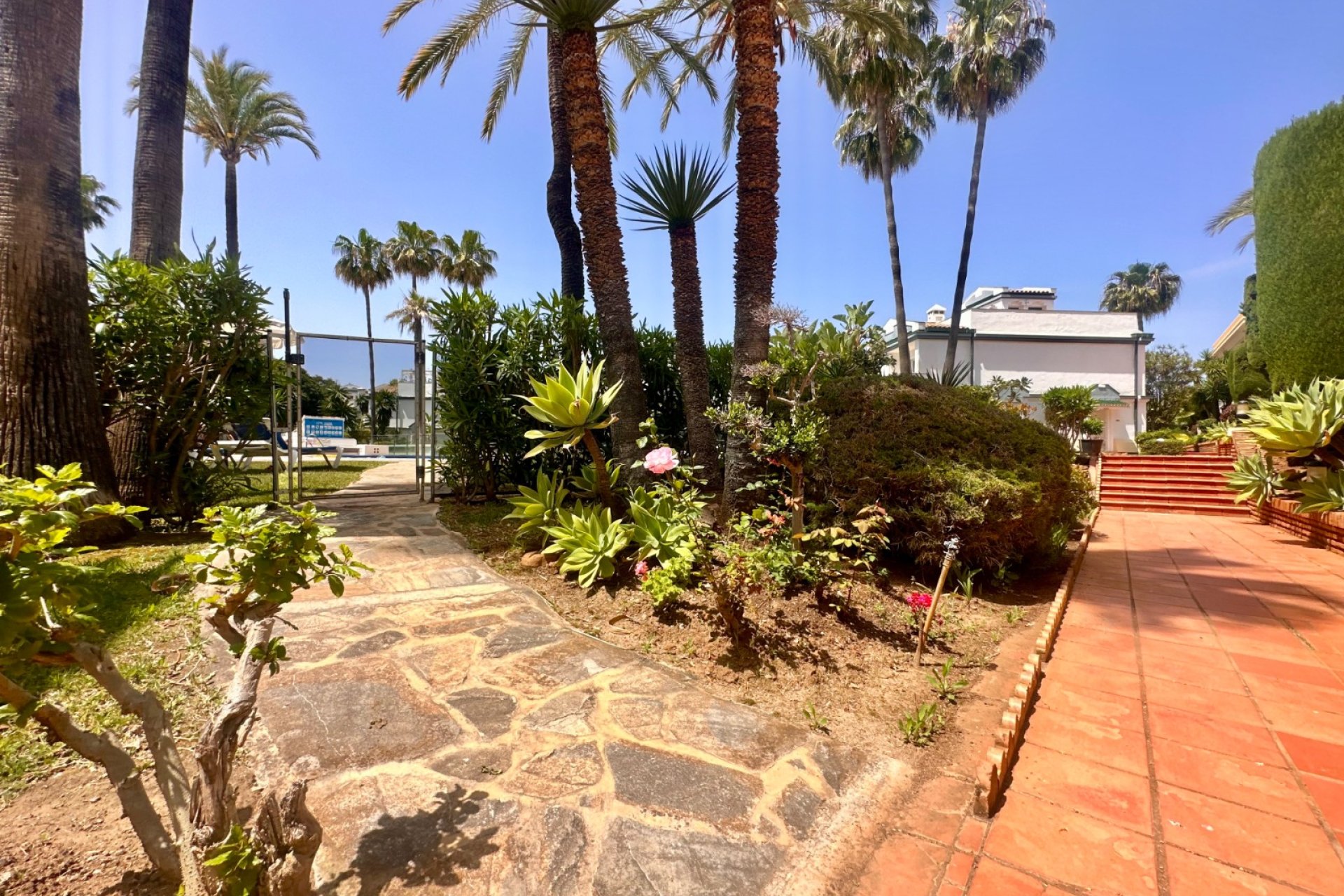 Dominion Beach, Estepona