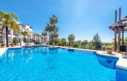 Ground floor apartment - Resale - Marbella - Nueva Andalucia
