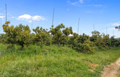 House - Detached Villa - Reventa - Sotogrande -
                Sotogrande