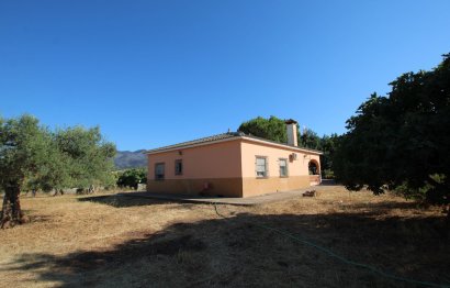 House - Finca - Cortijo - Resale - Alhaurín el Grande - Alhaurín el Grande Centro