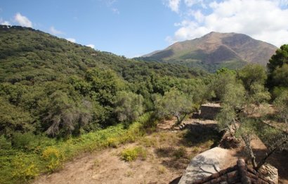 House - Finca - Cortijo - Resale - Casares - Casares Centro