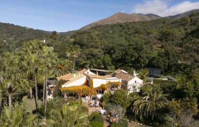 House - Finca - Cortijo - Reventa - Casares - Casares Centro