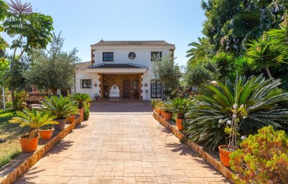 House - Resale - Elviria -
                Elviria