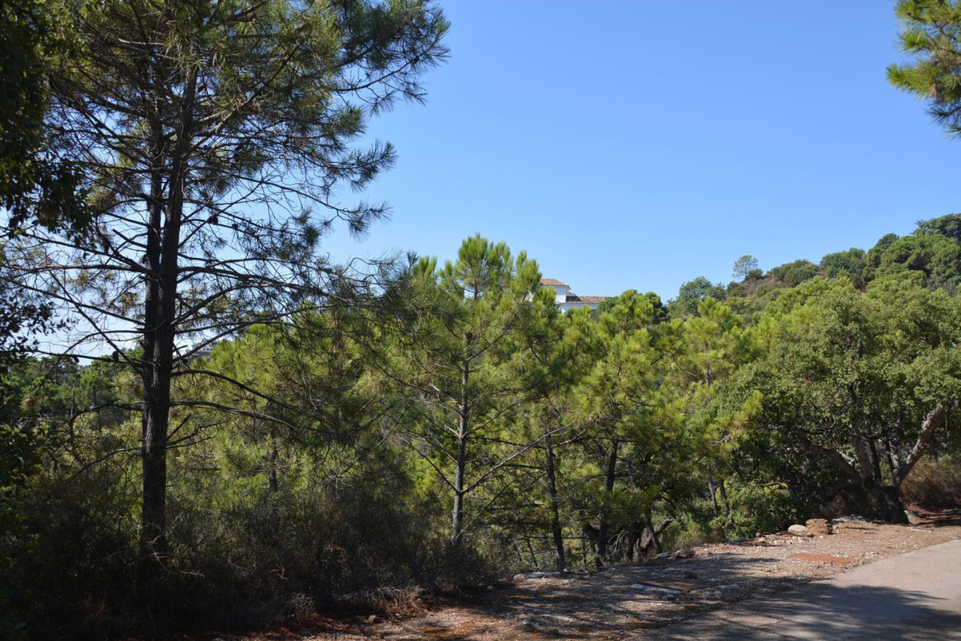 New Build - House - Detached Villa - Benahavís - Benahavís Centro