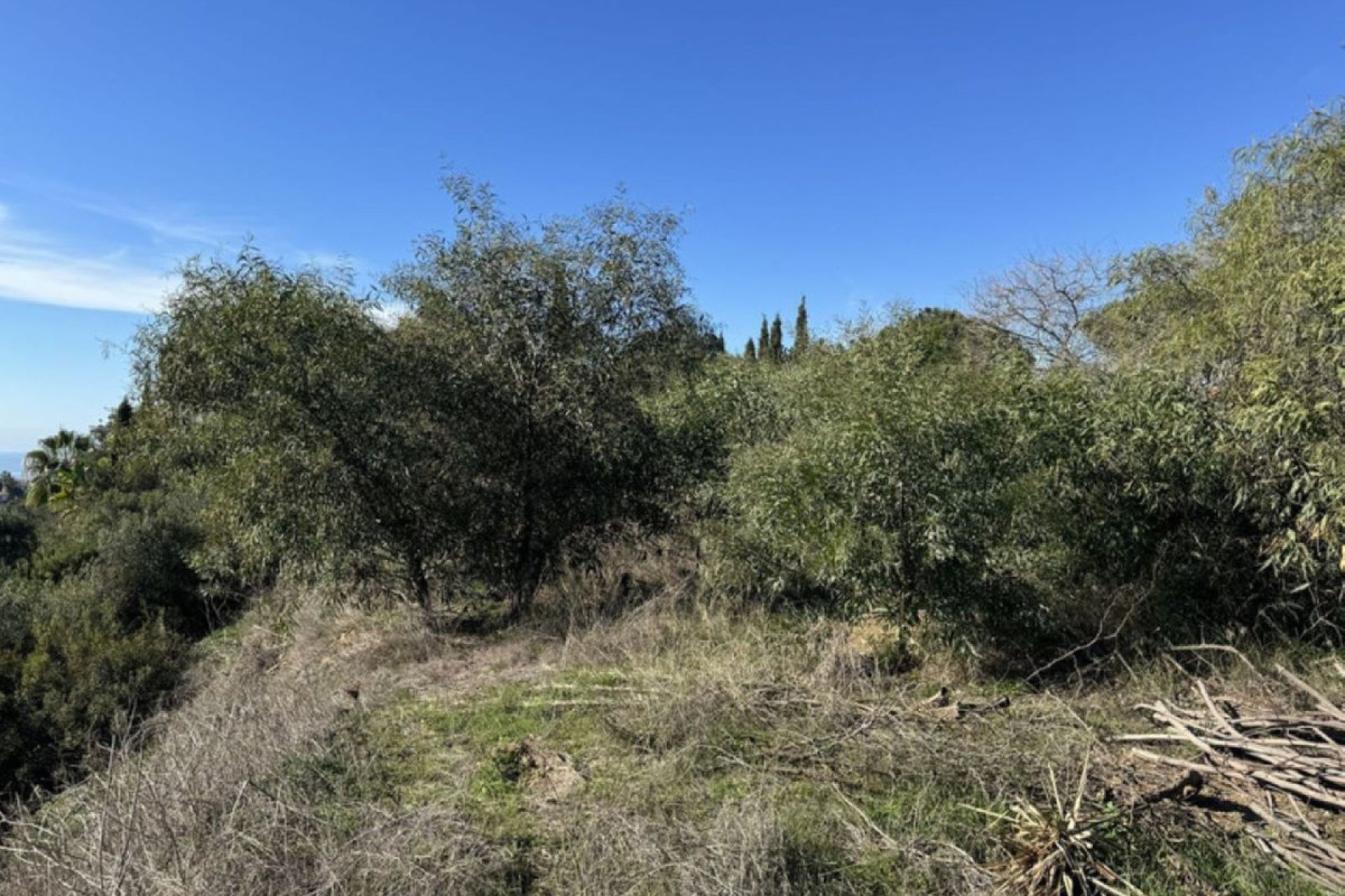 New Build - House - Detached Villa - Marbella - Elviria