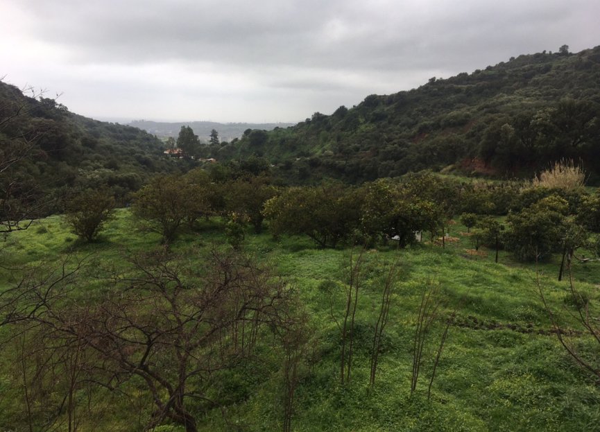 New Build - Plot - Land - Estepona - Estepona Centro