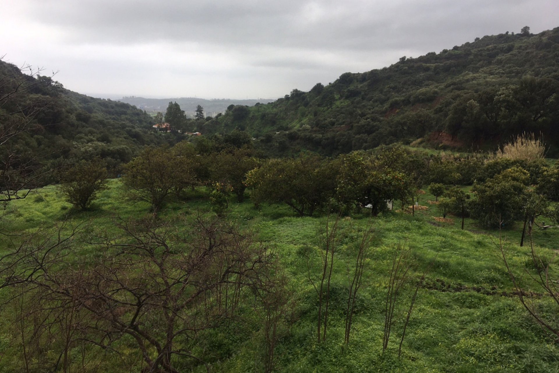 New Build - Plot - Land - Estepona - Estepona Centro