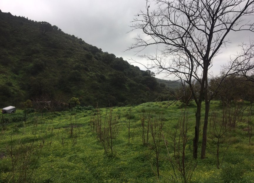 New Build - Plot - Land - Estepona - Estepona Centro