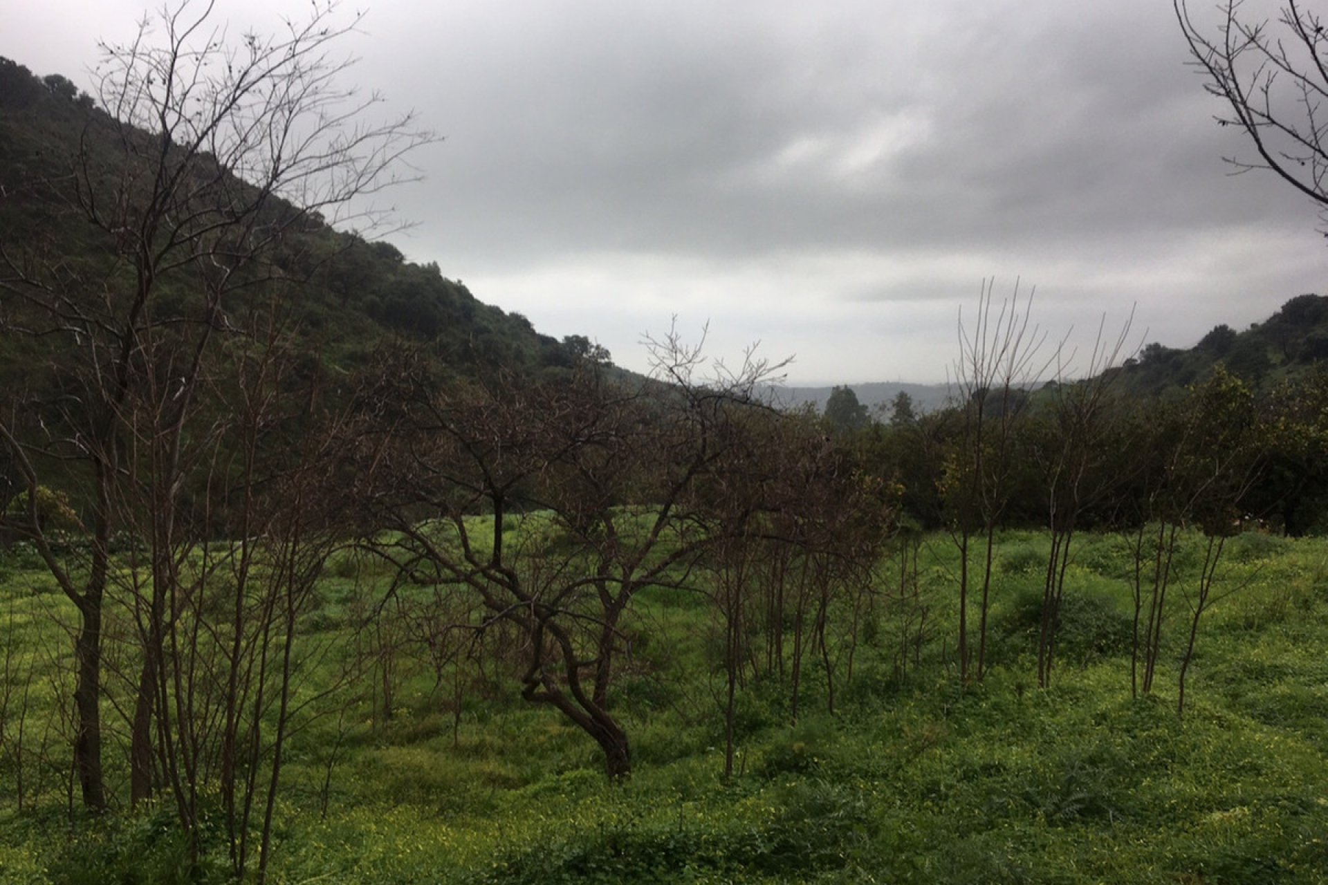 New Build - Plot - Land - Estepona - Estepona Centro