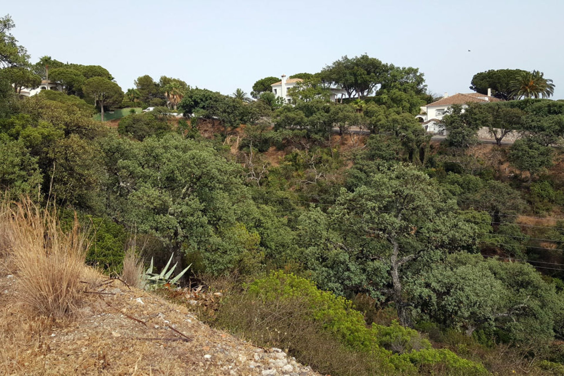 New Build - Plot - Residential Plot - Marbella - Elviria