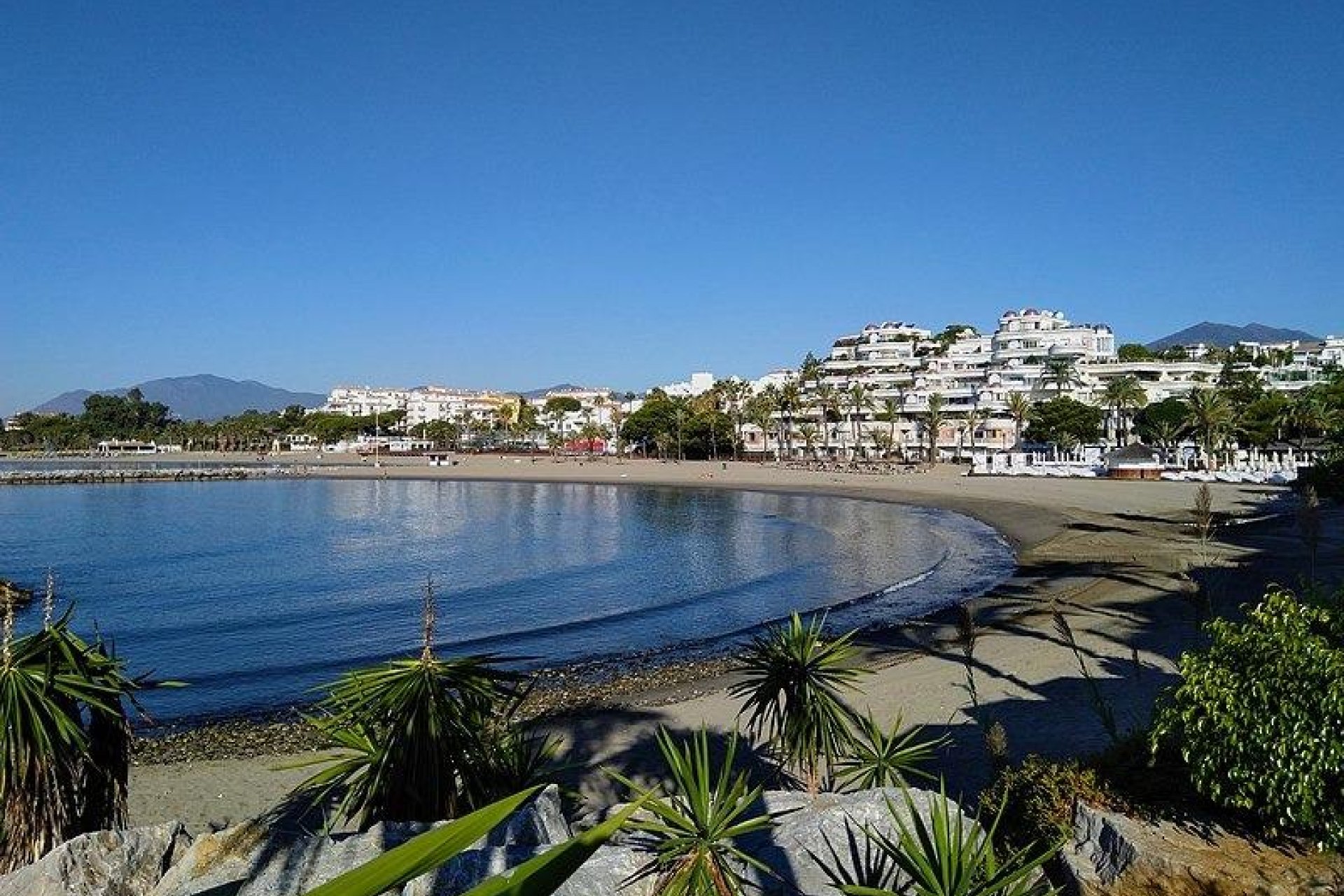 Obra nueva - Apartment - Marbella - Nueva Andalucia