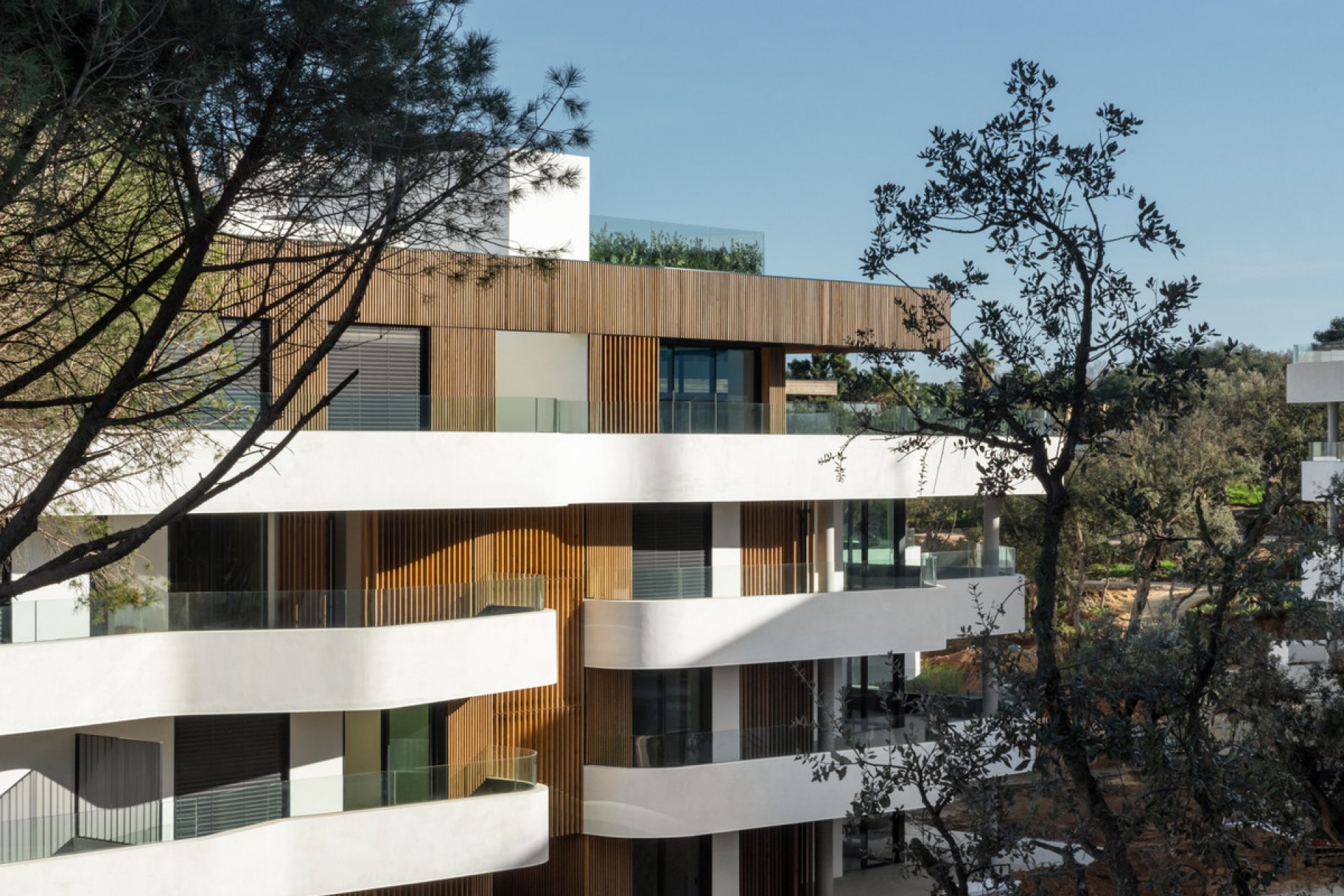 Obra nueva - Apartment - San Roque