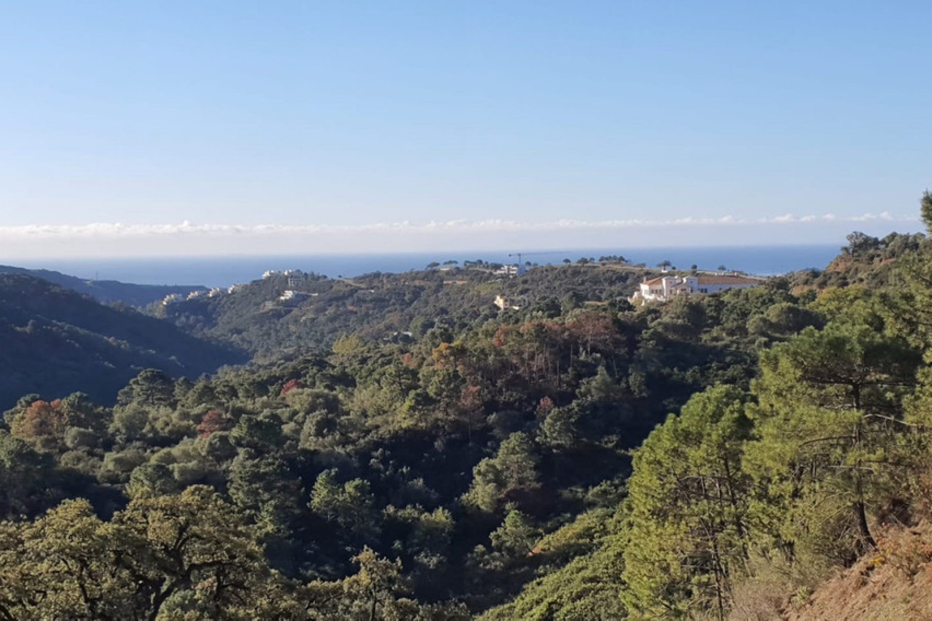 Obra nueva - Casa - Benahavís