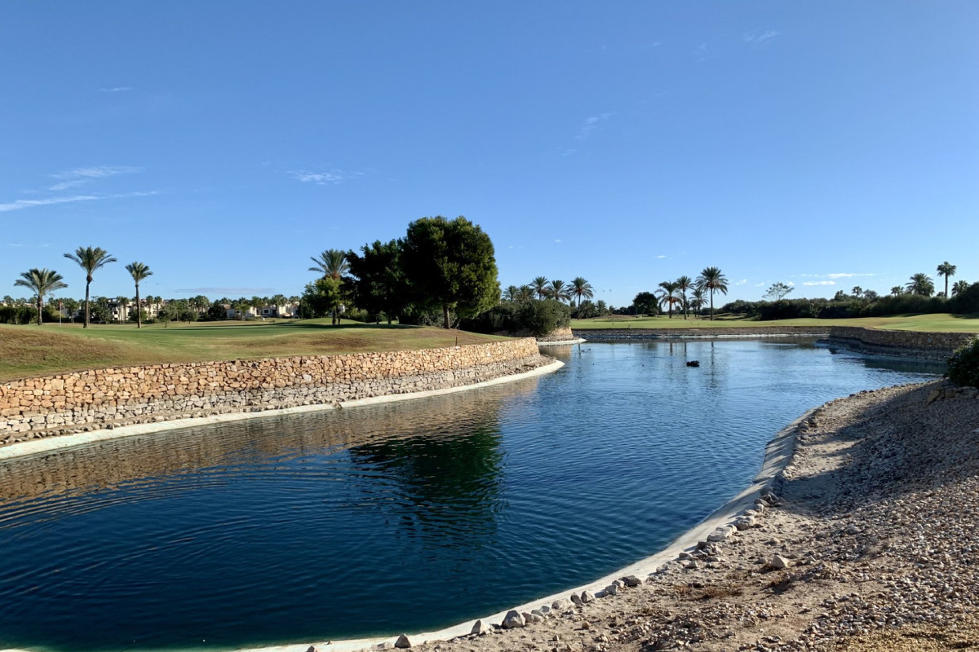 Obra nueva - Casa - Roda Golf