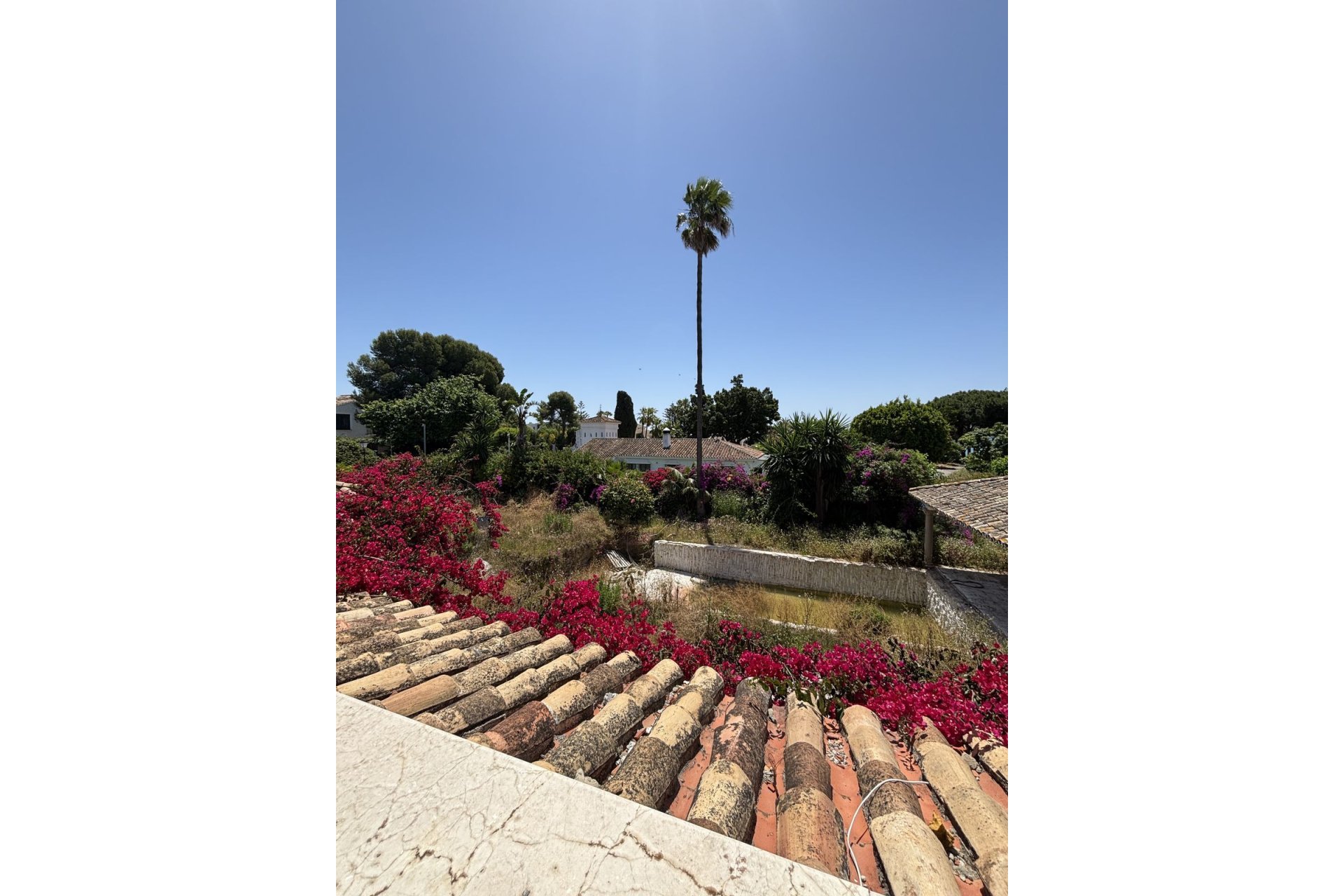 Obra nueva - House - Detached Villa - Estepona - New Golden Mile