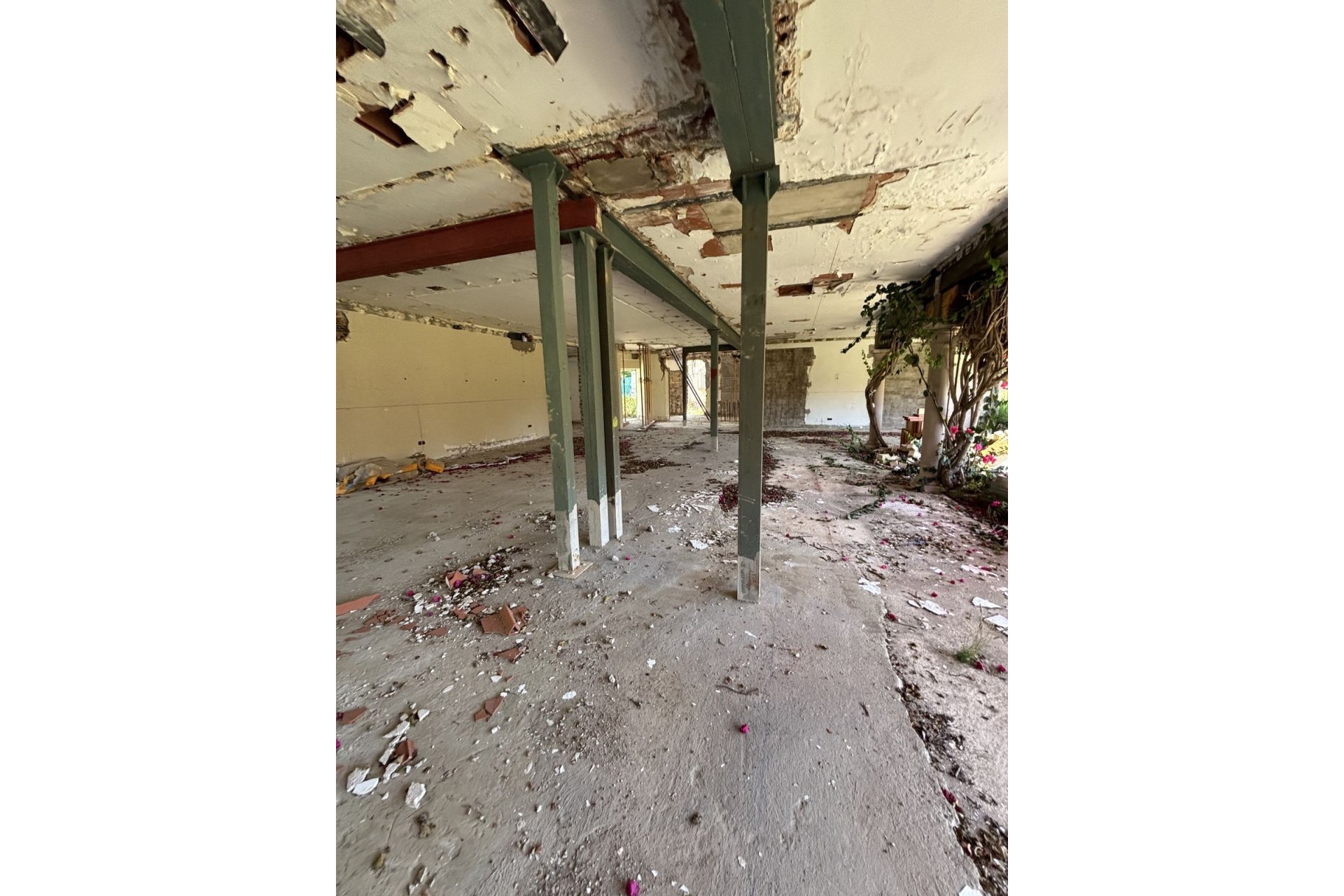 Obra nueva - House - Detached Villa - Estepona - New Golden Mile